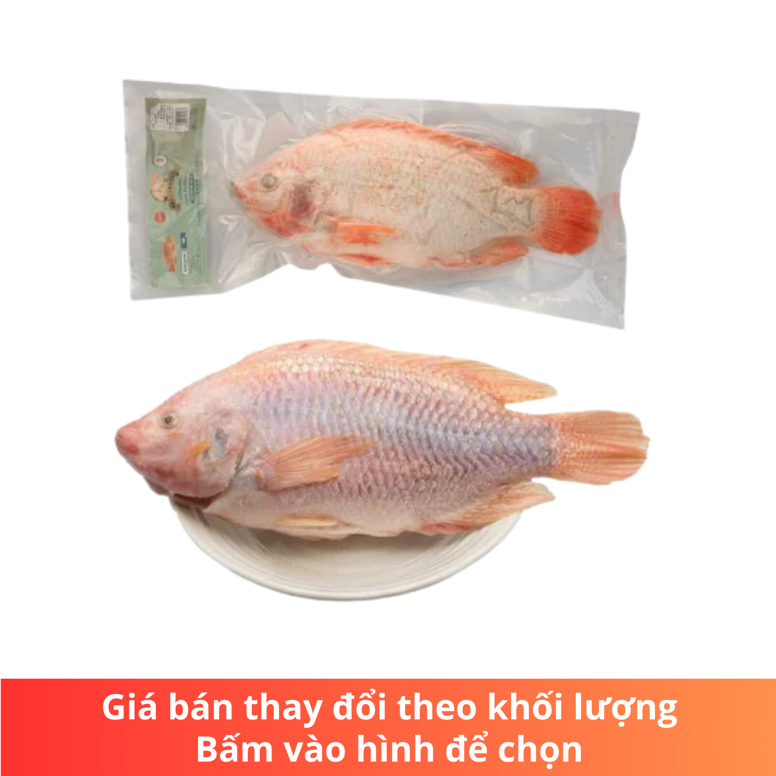 Cá-diêu hồng