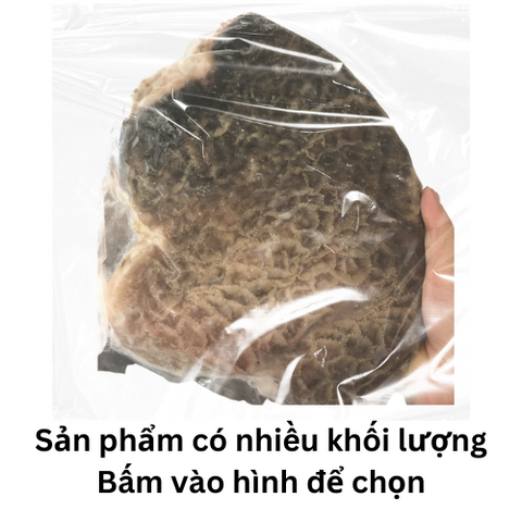 牛センマイ